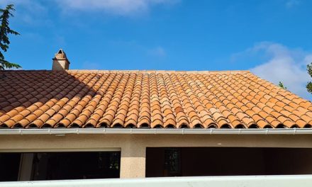 Nettoyage et protection toiture à Balma (Haute-Garonne, 31130)